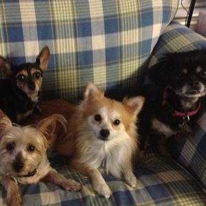 Meet your Posher, Melanie